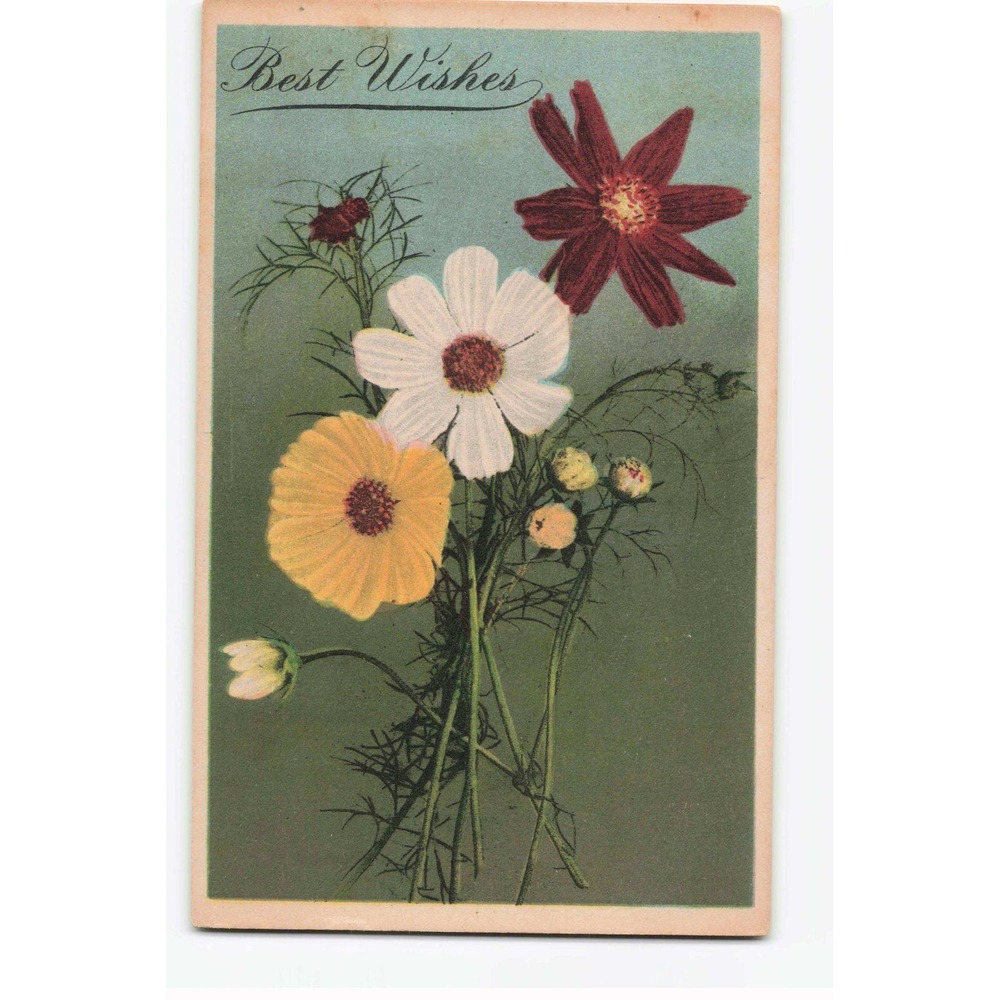 Vintage 1921 Best Wishes Floral Postcard Cosmos Flowers Bouquet VG-